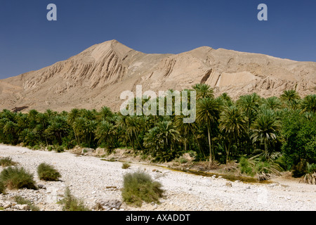 Vista di Wadi Bani Khalid nella parte orientale delle montagne Hajar (Al Hajar ash sharqi) nel Sultanato di Oman. Foto Stock