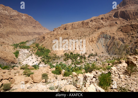 Scenario di Wadi Tiwi in Oman. Foto Stock