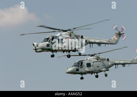 La British Royal Navy Black Cats Lynx elicotteri al RIAT 2005 RAF Fairford Gloucestershire England Regno Unito Foto Stock