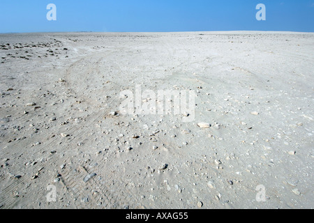 Il paesaggio del deserto del Qatar settentrionale vicino al Ruweis. Foto Stock