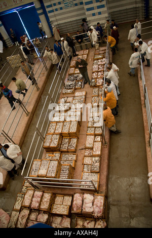 Il sistema delle aste di casse scatole piene di sarde fresche wet il mercato del pesce a Agadir, Marocco, gli operatori di mercato, acquisto e vendita di asta Foto Stock