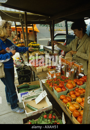 Prodotti locali freschi al mercato settimanale Kingston Ontario Canada Foto Stock