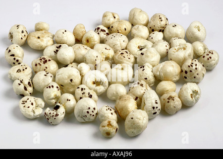 AAD73232 Puff semi di loto talmakana commestibili in hindi Foto Stock