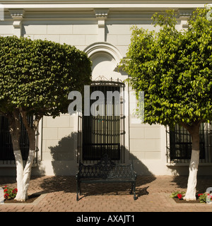 La facciata della tropical neo-classico caratterizzante architettura Sinaloan Foto Stock