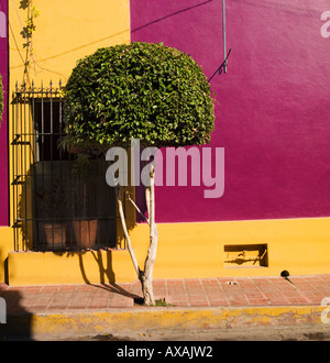 Colori luminosi di tropicale stile neo-classico caratterizzante architettura Sinaloan Foto Stock