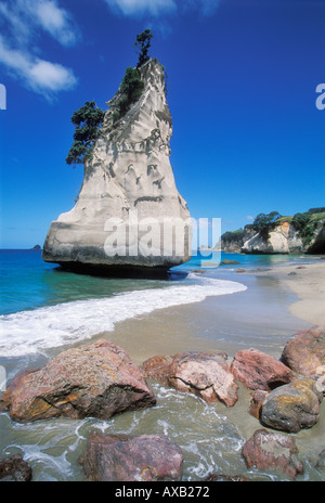 Nuova Zelanda Isola del nord Coromandel Cove della cattedrale rimane di arco di roccia a Cove della cattedrale vicino Hahei Penisola di Coromandel Isola del nord della Nuova Zelanda Foto Stock