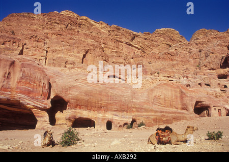 Un cammello di riposo in attesa al di fuori delle tombe reali in Petra Giordania Medio Oriente Foto Stock