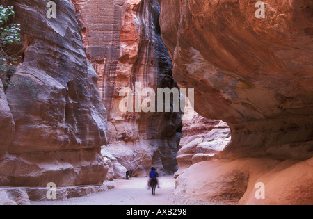 Un turista a cavallo attraverso il Siq en route al Khazneh petra Giordania Medio Oriente Foto Stock