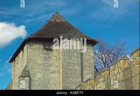 I piccioni sul tetto di guardiola medievale, Piccadilly, York. Foto Stock