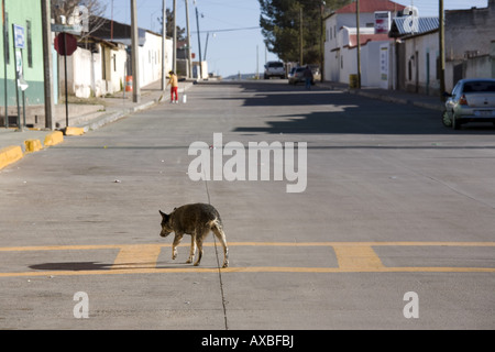 Carichi Messico Street scene in mattina presto carichi in stato di Chihuahua Foto Stock