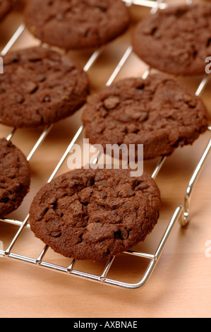 Biscotti al cioccolato su una griglia di raffreddamento Foto Stock