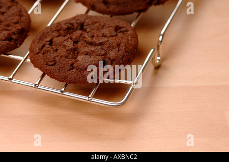Biscotti al cioccolato su una griglia di raffreddamento Foto Stock