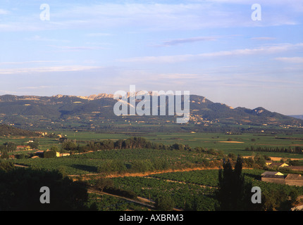 Dentelles de Montmirail montagne visto da Cairanne Vaucluse Provence Francia Foto Stock