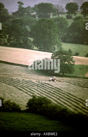 Cheshire Alderley Edge vista in lontananza agricoltore la falciatura di fieno al crepuscolo Foto Stock