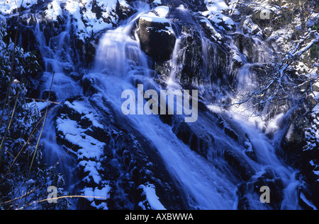 Swallow scende in inverno fiume Llugwy vicino a Betws-y-Coed Snowdonia National Park Conwy North Wales UK Foto Stock