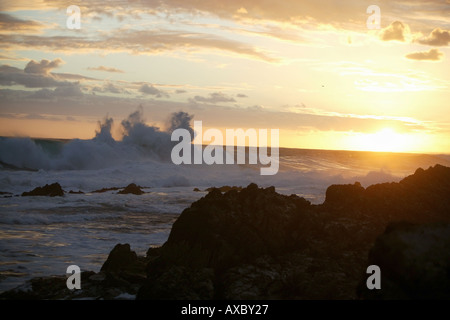 Tramonto in Tsitsikama National Park in Sud Africa Foto Stock