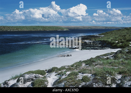 Spiaggia di Falklands Foto Stock