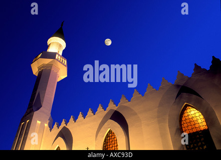 La moschea di marbella spagna night Moon andalucia costa del sol Foto Stock