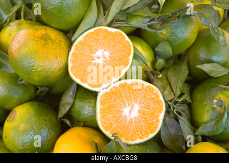 Arance fresche tagliate a metà Foto Stock