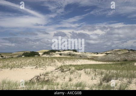 Spiaggia a a Provincetown, Massachusetts, STATI UNITI D'AMERICA Foto Stock