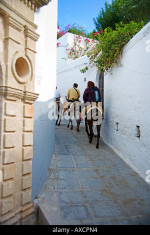 Asini in Lindos Foto Stock