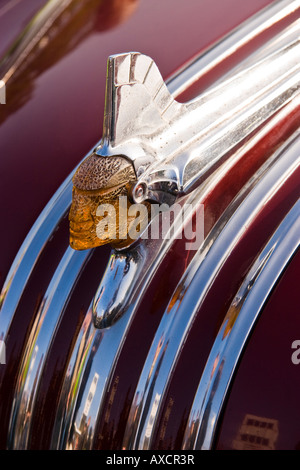 La mascotte del cofano per la Pontiac capotribù 1951 a Goodwood Breakfast Club Foto Stock