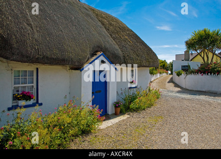 Tradizionale cottage con il tetto di paglia, Kilmore Quay, County Wexford, Irlanda Foto Stock