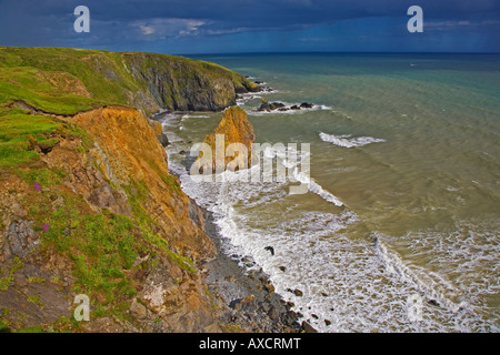 Paesaggi costieri, vicino Bunmahon, il rame Costa, nella contea di Waterford, Irlanda Foto Stock