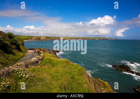 Strada per Porto Boatstrand, la costa di rame Geopark, nella contea di Waterford, Irlanda Foto Stock