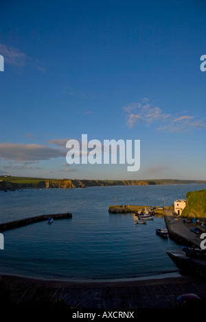 Boatstrand Harbour, il rame Costa, nella contea di Waterford, Irlanda Foto Stock