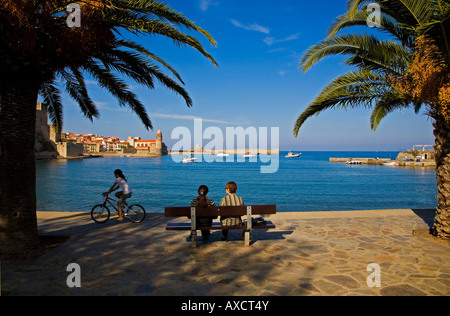 Collioure, villaggio di pescatori e la colonia di artisti, Pyrenees-Orientales, Francia Foto Stock