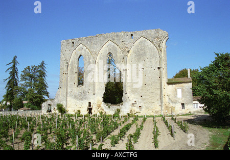 Vigneto. Le rovine di una chiesa. Chateau Les Grandes Murailles, Saint Emilion, Bordeaux, Francia Foto Stock