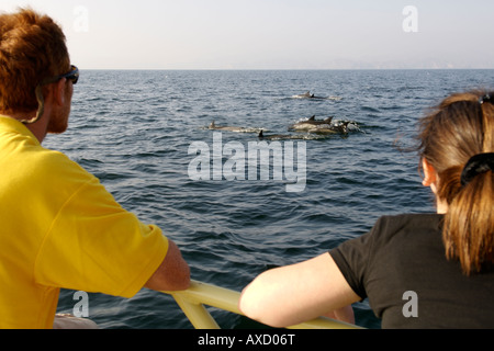 I passeggeri a bordo di un battello la visualizzazione dei delfini nel Golfo di Oman al largo della costa di Muscat in Oman. Foto Stock