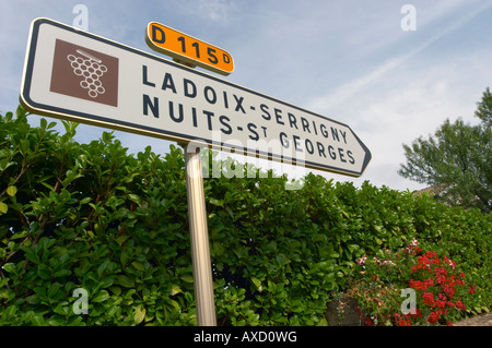 Ladoix Serrigny, Nuits Saint Georges. Villaggio Aloxe-Corton, Cote de Beaune, d'Or, Borgogna, Francia Foto Stock