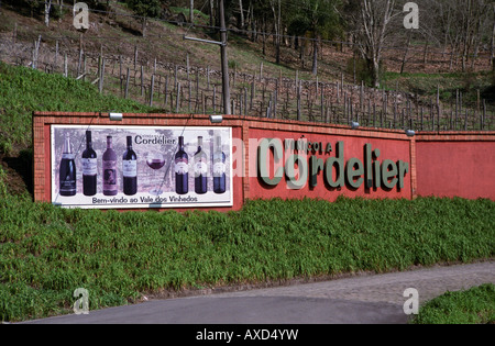 Vinicola Cordelier, Vale dos Vinhos, Brasile del Sud Foto Stock