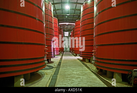 Tini di fermentazione in cantina Mioranza, Forels da Cunha, Brasile Foto Stock