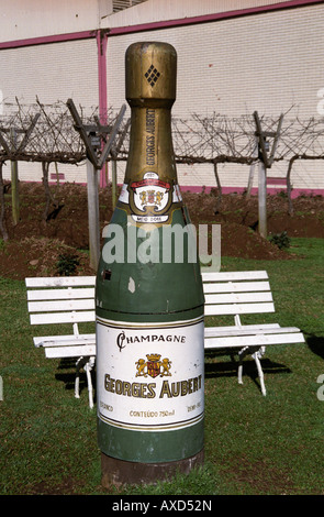 Bottiglia grande di "champagne" a Georges Aubert Cantina, Bairro Cairu, Garibaldi, Brasile del Sud Foto Stock