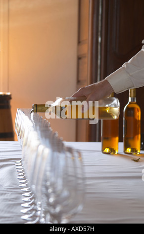 Degustazione di vino. Bicchieri di vino. Chateau Guiraud, Sauternes, Bordeaux, Francia Foto Stock