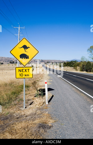 Canguro e wombat cartello stradale Foto Stock