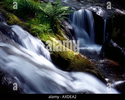 Cascata del Nant Gwernol burrone Gwynedd Foto Stock