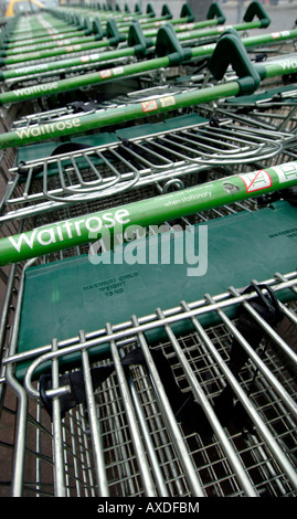 Waitose carrelli per supermercati parcheggiata e pronto per l'uso. Foto da Jim Holden. Foto Stock