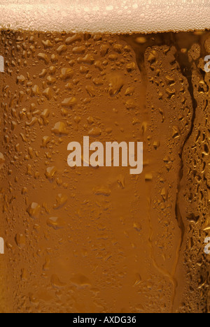 Vetro freddo di birra, vicino. Foto Stock