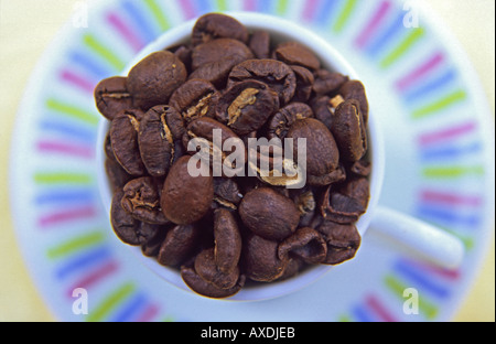 Kenyota i chicchi di caffè in una tazza di espresso Foto Stock