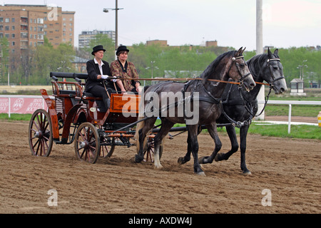 Donna andare sul cavallo-powered Foto Stock