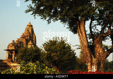 Tempio Khajraho all'alba, India Foto Stock