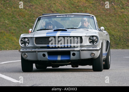 Ford Mustang Shelby GT, costruito 1966 Foto Stock