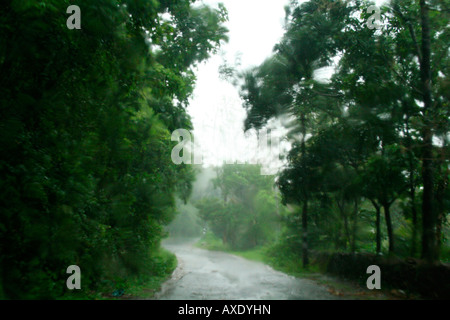 Strada forestale visto da una pioggia-flagellato parabrezza della vettura Foto Stock