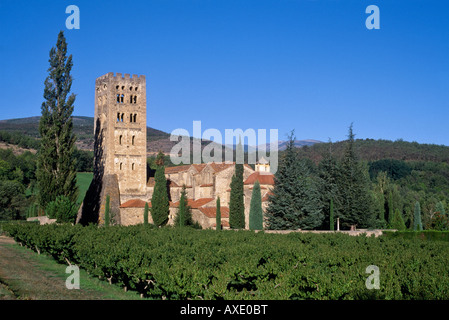 Pre Abbazia romanica di St Michel de Cuxa Pyrénées Orientales Francia Languedoc Roussillon Foto Stock