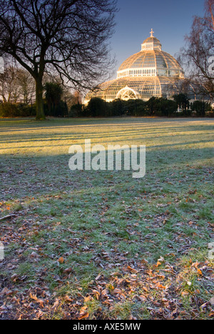 Verticale / Foto ritratto del Palm House Sefton Park, Liverpool Foto Stock