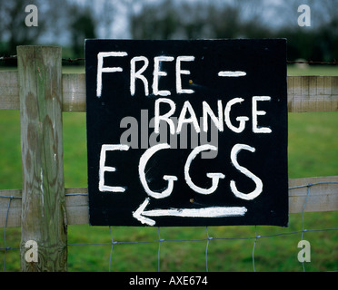 Free Range Egg segno Foto Stock